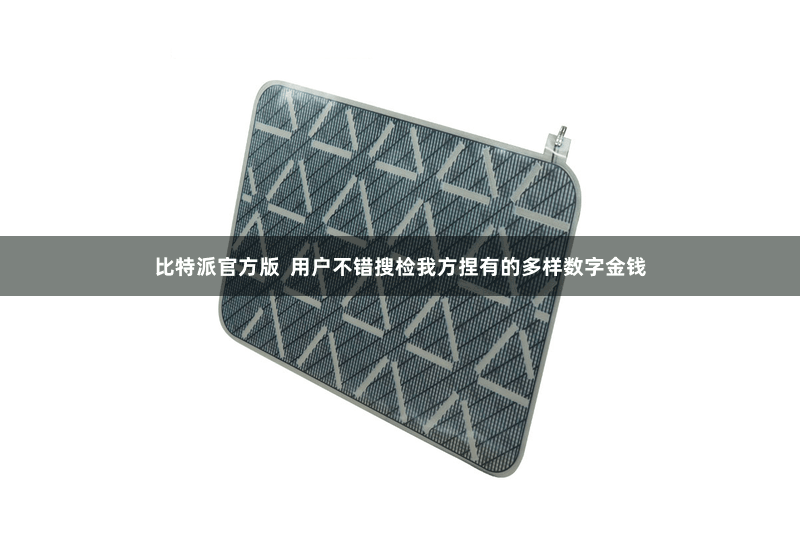 比特派官方版 用户不错搜检我方捏有的多样数字金钱
