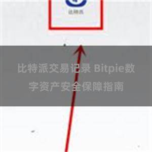 比特派交易记录 Bitpie数字资产安全保障指南