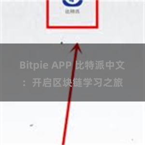 Bitpie APP 比特派中文：开启区块链学习之旅