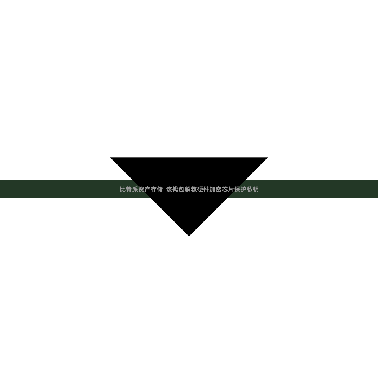 比特派资产存储  该钱包解救硬件加密芯片保护私钥