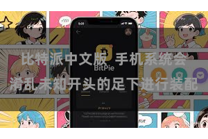 比特派中文版  手机系统会淆乱未知开头的足下进行装配
