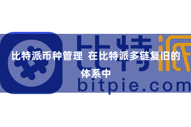 比特派币种管理  在比特派多链复旧的体系中